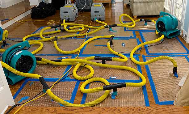 Professional Flood Damage Restoration technician working in Redondo Beach, CA